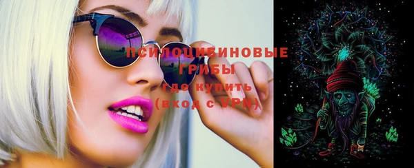 a pvp Новозыбков
