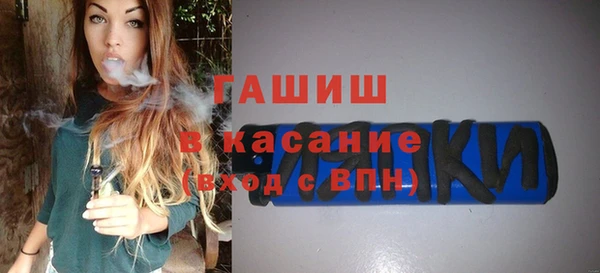 шишки Новодвинск