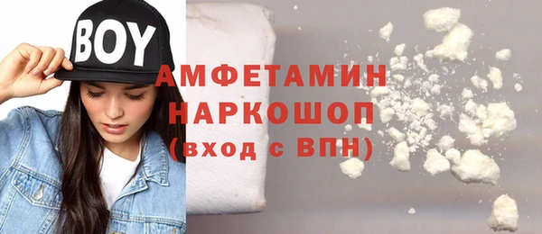 шишки Новодвинск