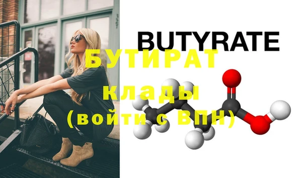 шишки Новодвинск