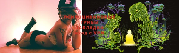 шишки Новодвинск