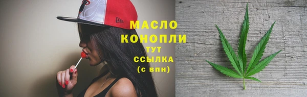 шишки Новодвинск