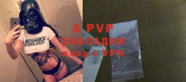 шишки Новодвинск
