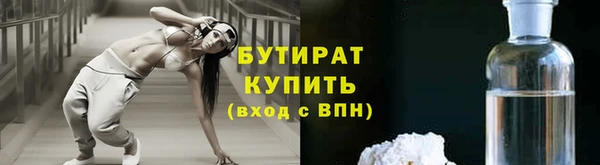 шишки Новодвинск