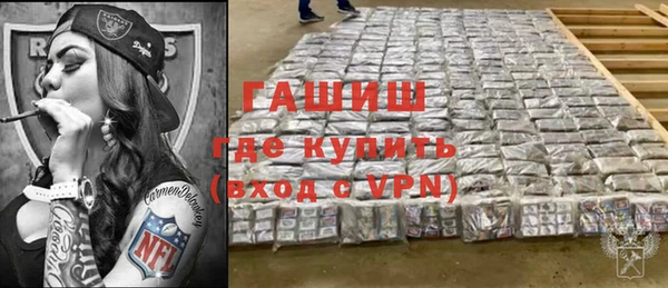 шишки Новодвинск