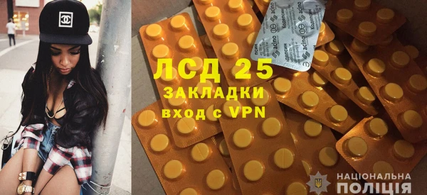 a pvp Новозыбков