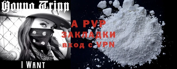 a pvp Новозыбков