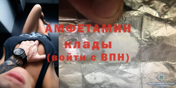 шишки Новодвинск