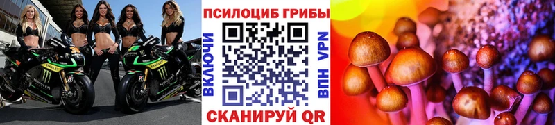 KRAKEN ONION  Лебедянь  Псилоцибиновые грибы мицелий  купить  